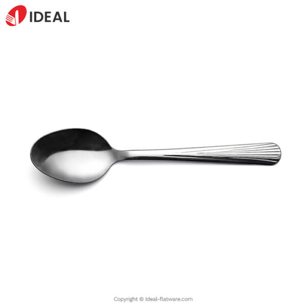 Stainless steel spoon