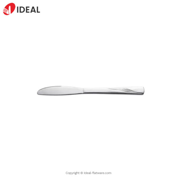 Stainless steel knife