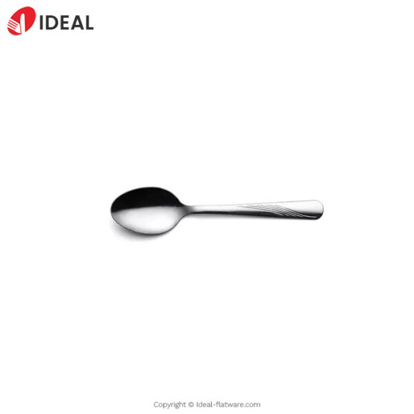 Stainless steel spoon