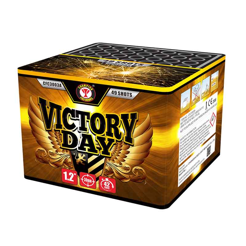 Día de la victoria 49 tiros