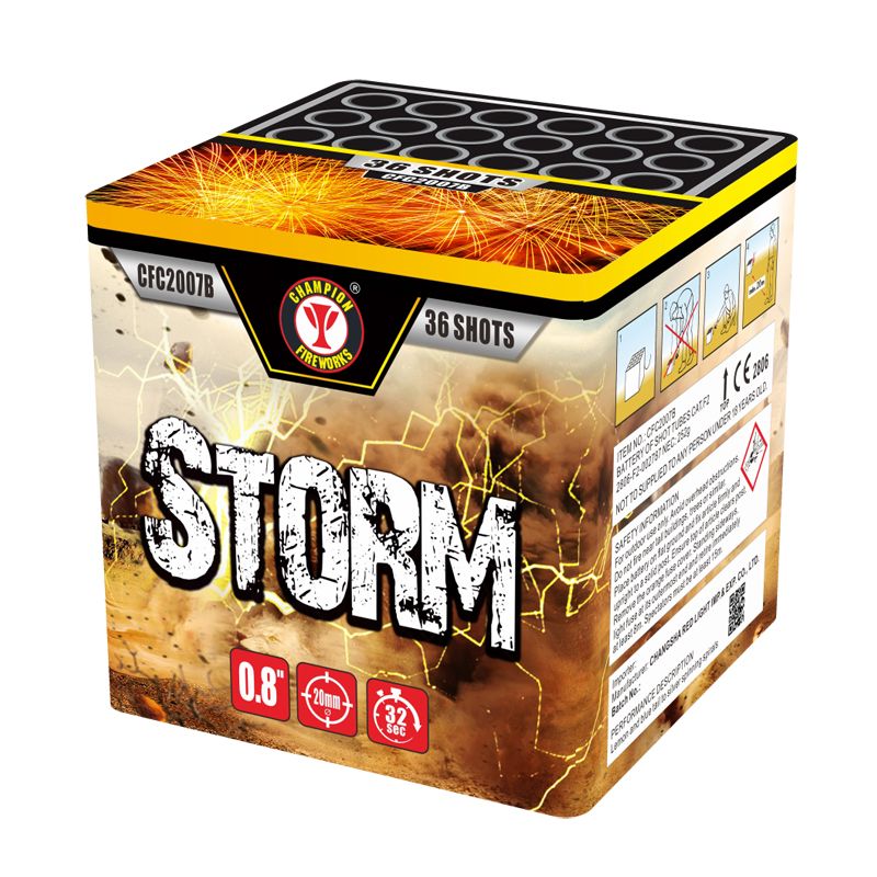 Sturm 36 Schüsse